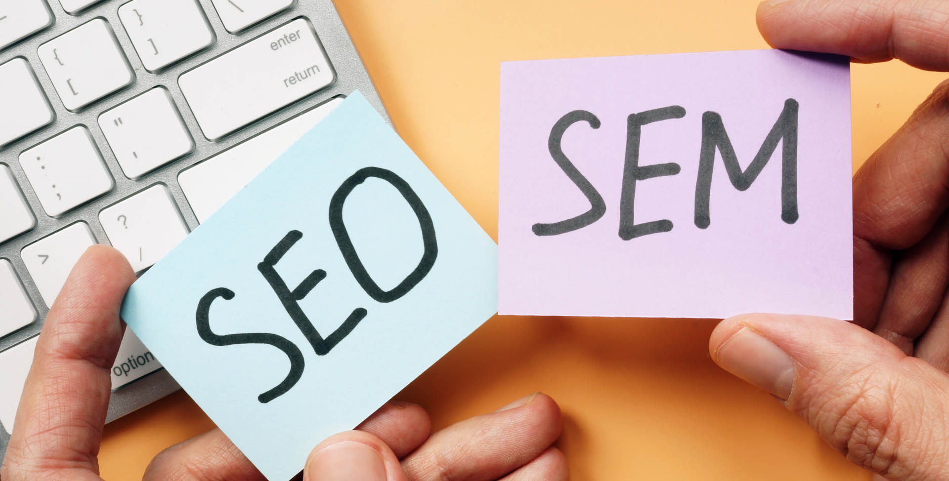 Web Design Company in Coimbatore